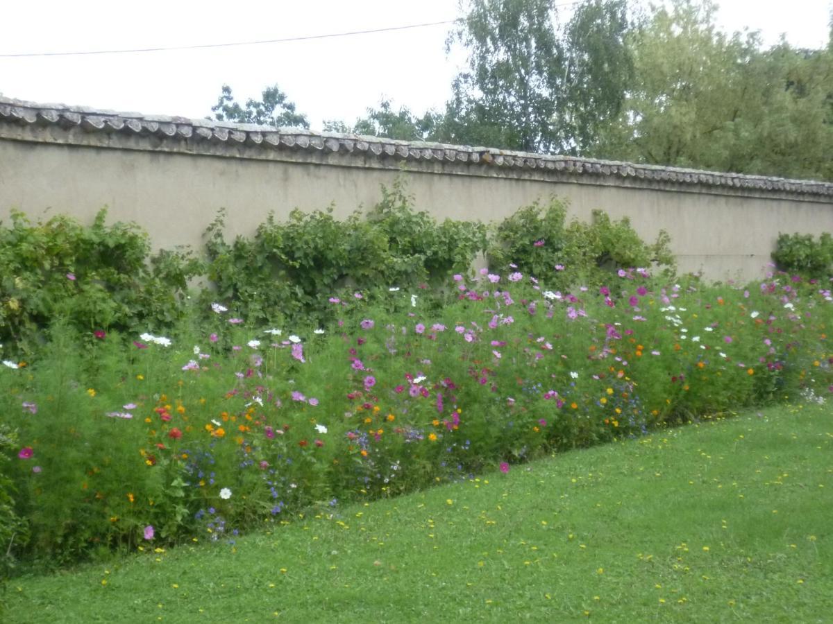 Chateau Des Charmes Bed & Breakfast Guereins Exterior photo